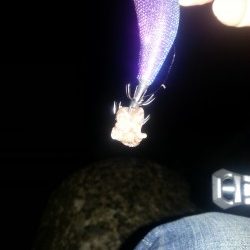 秋アオリ２回目!!!