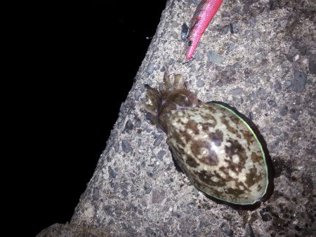 大潮スーパームーン前夜