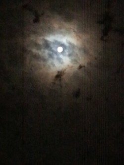 スーパムーンエギング