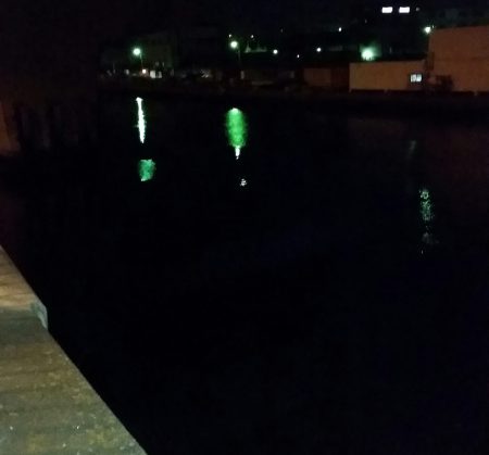 何とか釣れました！