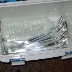 数は出たけれど