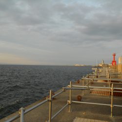 夜釣りでタチウオのウキ釣り