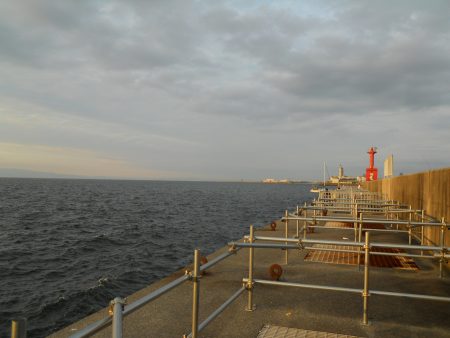夜釣りでタチウオのウキ釣り