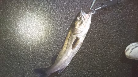 事故的ヒット・・・