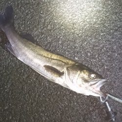 事故的ヒット・・・