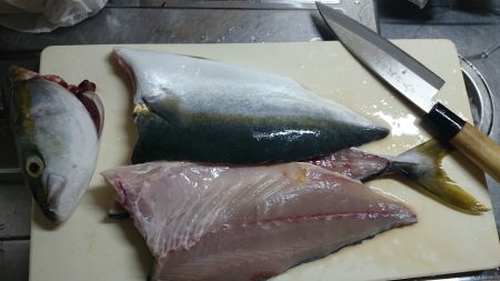 青物また釣れました！