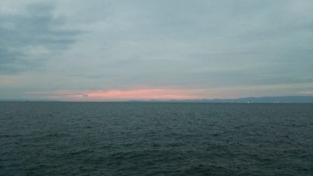 貝塚人口島でサワラ