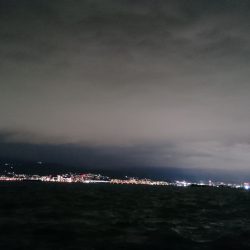 和歌山に嫌われて雨に好かれて