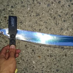 市内湾奥太刀魚②