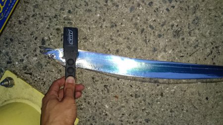 市内湾奥太刀魚②