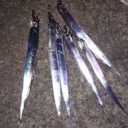 ドラゴンハンティング