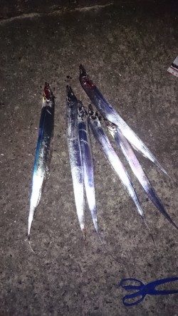 ドラゴンハンティング