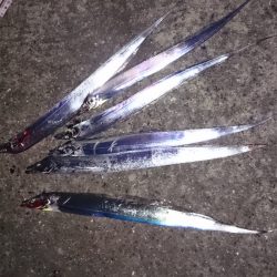 ドラゴンハンティング