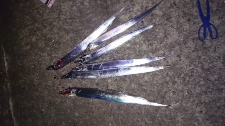 ドラゴンハンティング