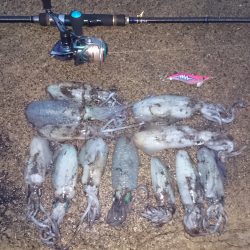 秋イカエギング