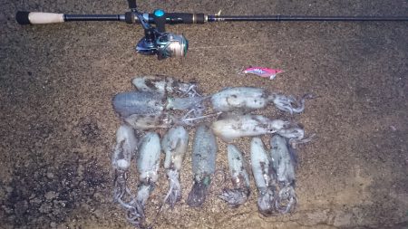 秋イカエギング