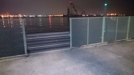 サビキ釣りでお腹いっぱい