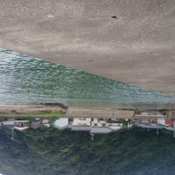 ノマセでツバス！その他5目釣り