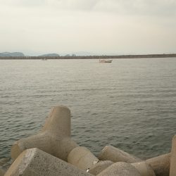 今年初タチウオ‼