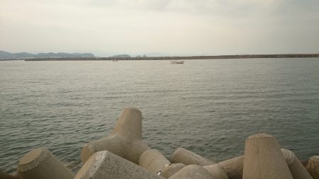 今年初タチウオ‼