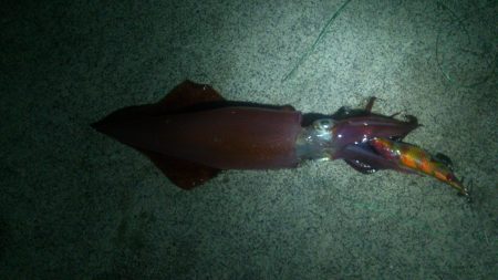 大分、厳しくなってきたね