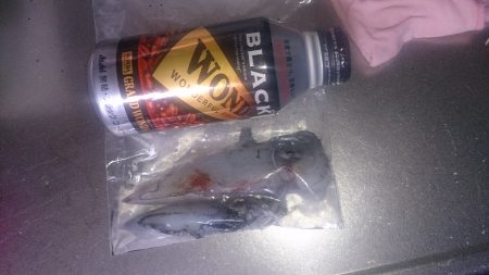 またまたケンサキイカ