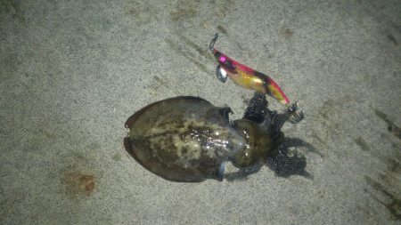 何処いったん？