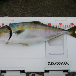 初めて釣れました