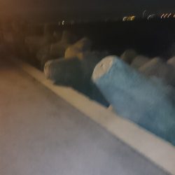 台風あけの様子は、