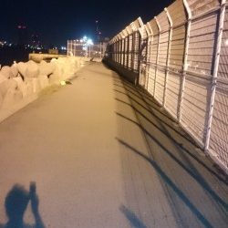 アジングしてきました