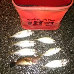 もうすっかり秋っぽくなりました