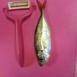 小雨降るなかのお勤めです