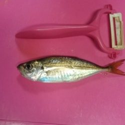 小雨降るなかのお勤めです