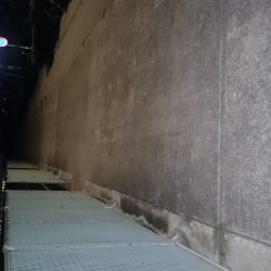 フィッシングウィーク突入~☺