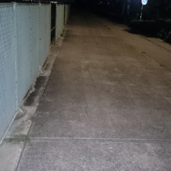 フィッシングウィーク突入~☺