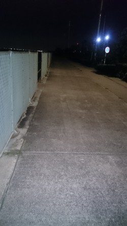 アジの居場所を探して