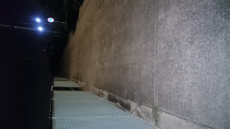 アジの居場所を探して