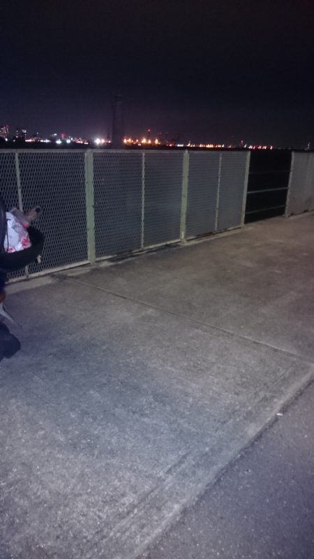 アジング調査です