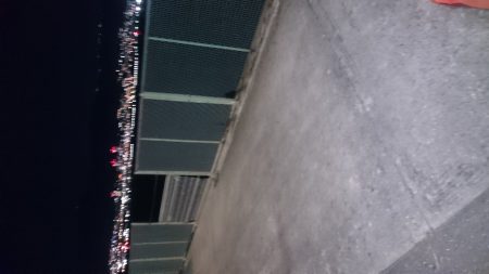 やっぱりアジが好き