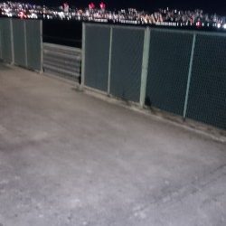 短い時合でした