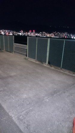 短い時合でした