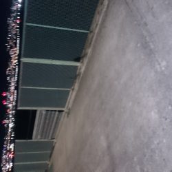 短い時合でした