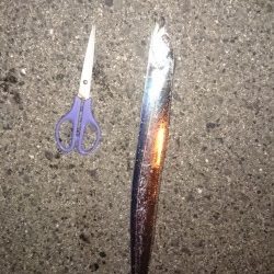 今季、初ワインド