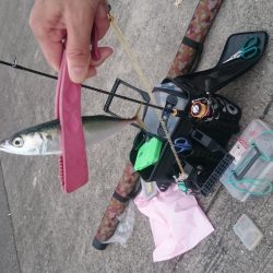 シルバーウィークは皆勤賞