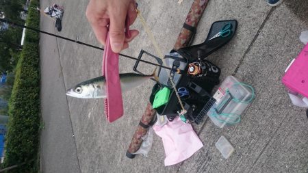 シルバーウィークは皆勤賞