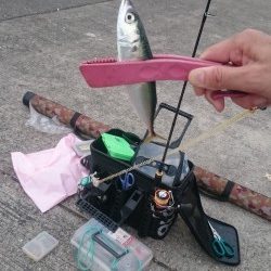 シルバーウィークは皆勤賞