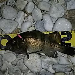 サーフアジング