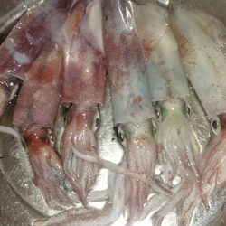 ライトエギング