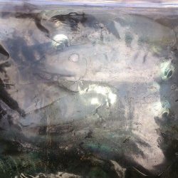 後半戦～お昼まで