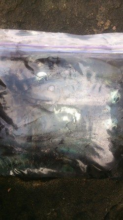 後半戦～お昼まで